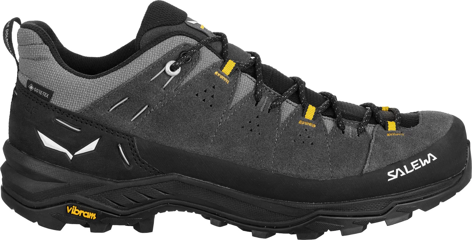 Alp Trainer 2 GTX Shoe - Onyx/Black