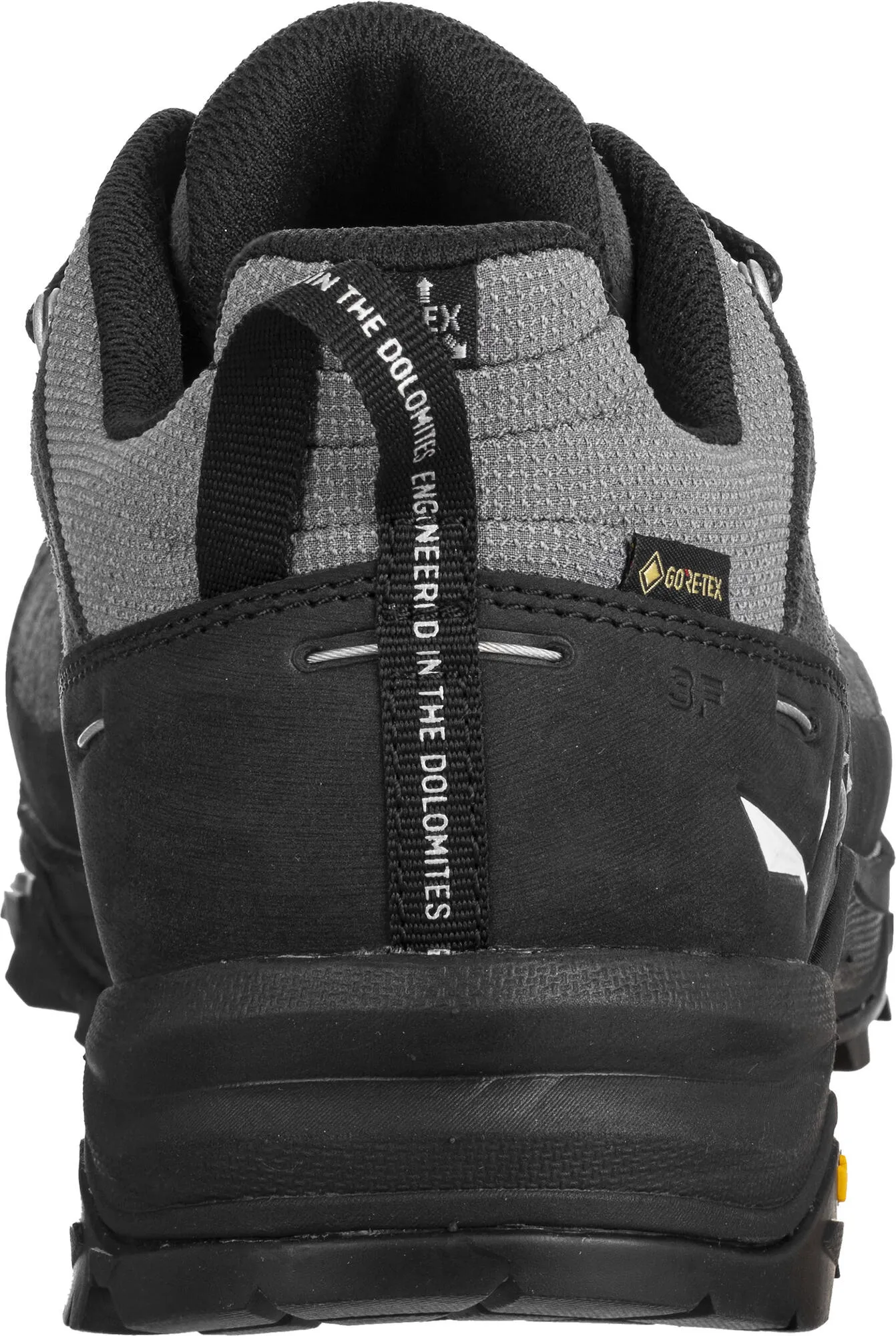 Alp Trainer 2 GTX Shoe - Onyx/Black