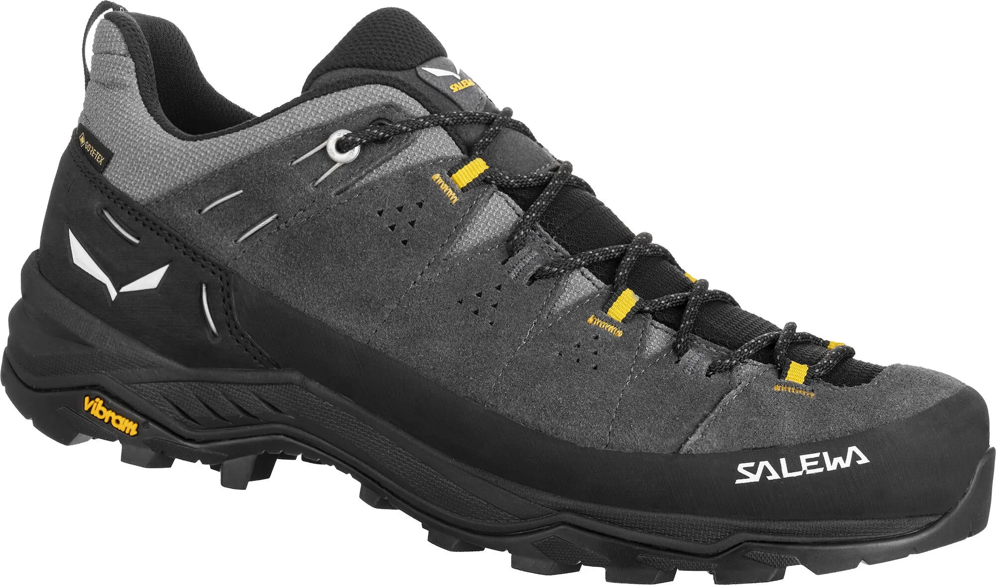 Alp Trainer 2 GTX Shoe - Onyx/Black